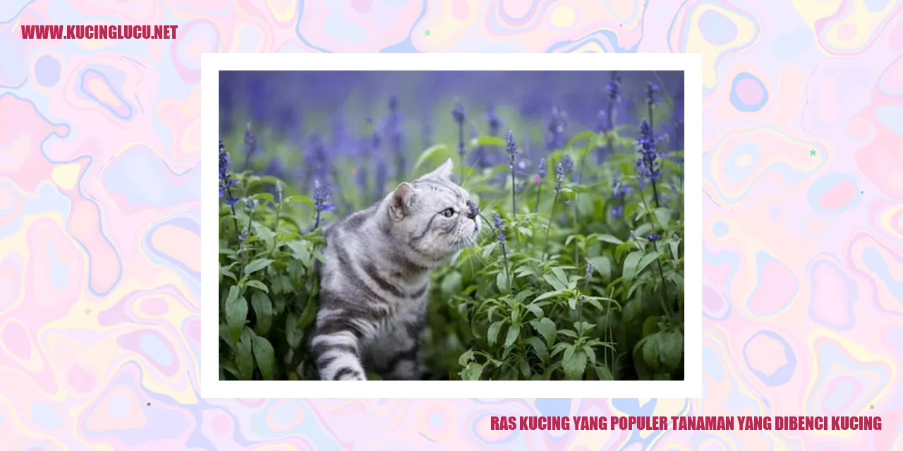 Ras Kucing yang Terkenal dan Plant Cover yang Ditolak oleh Kucing
