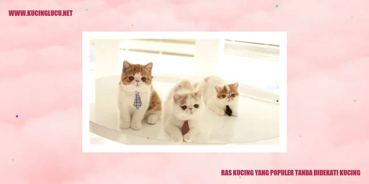 Ras Kucing yang Populer