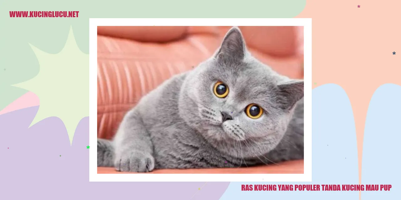 Kucing sedang pup