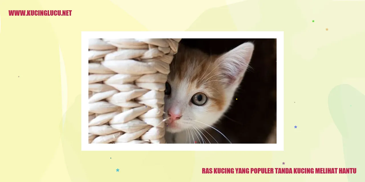 Ras Kucing yang Populer tanda kucing melihat hantu