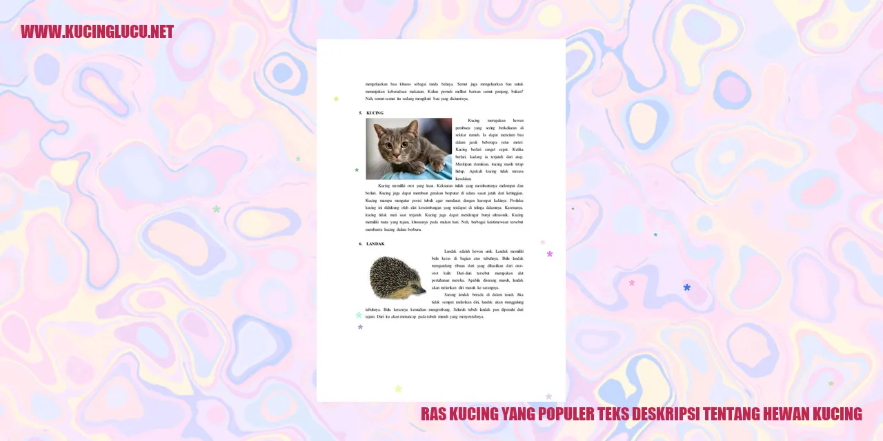 Ras Kucing yang Populer