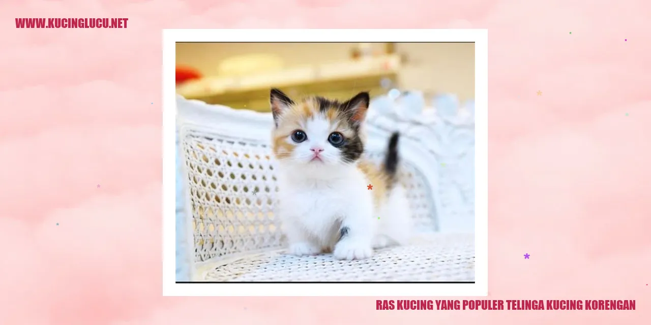 Kucing dengan telinga korengan