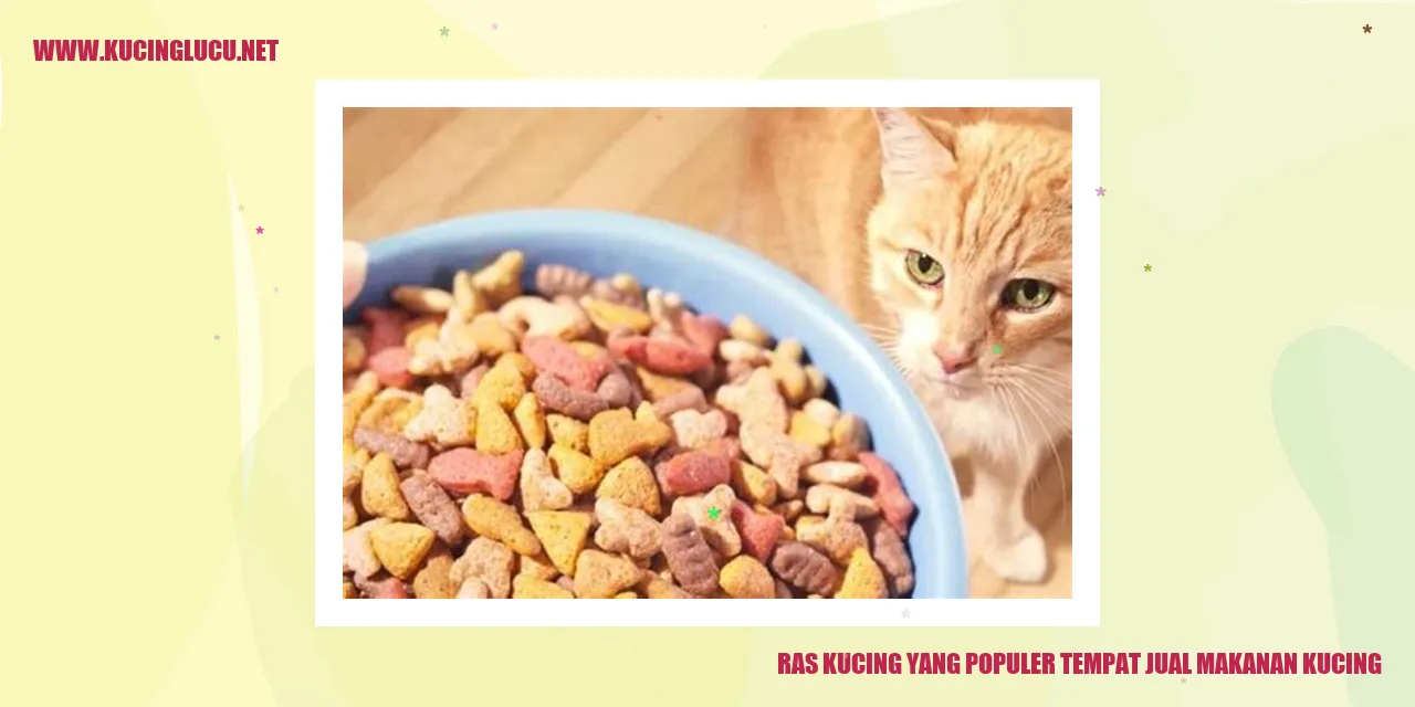 Kucing dan makanan kucing