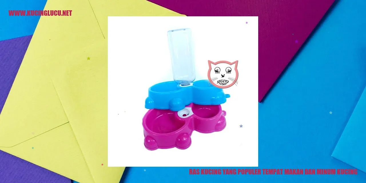 Kucing Makan Minum