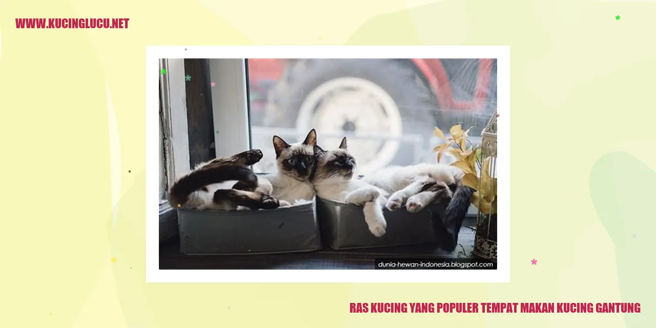 Gambar Ras Kucing