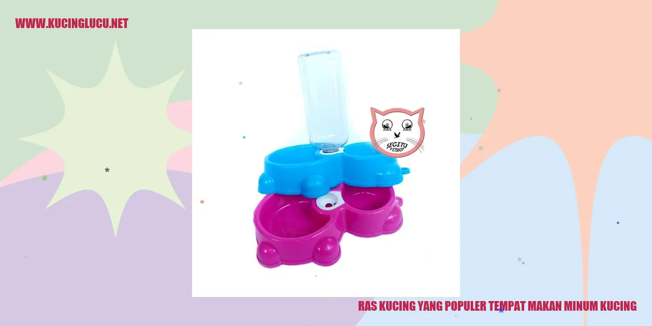 Ras Kucing yang Favorit Sebagai Tempat Makan dan Minum Kucing