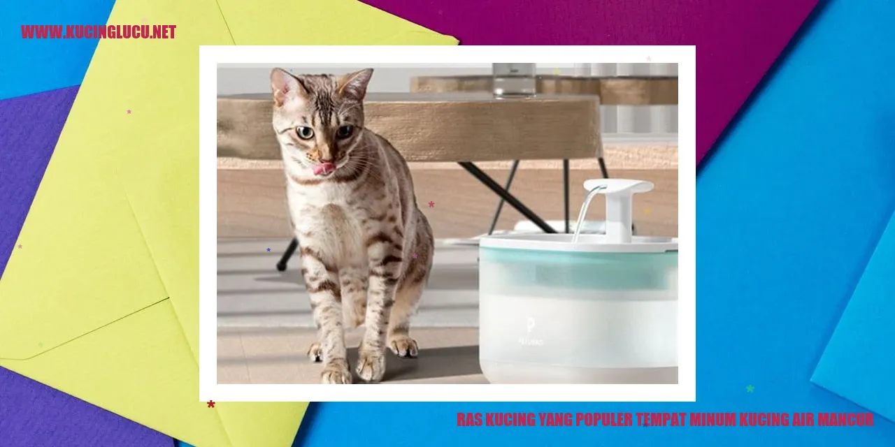 Kucing sedang minum air mancur