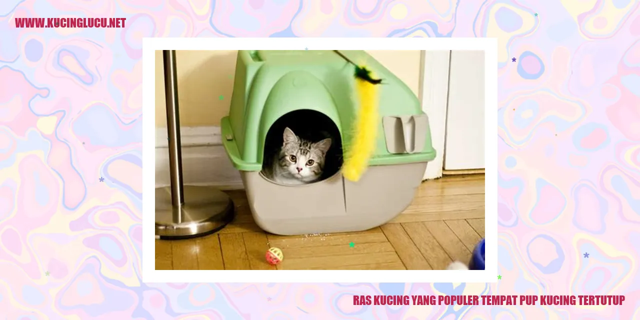 Ras Kucing yang Populer tempat pup kucing tertutup