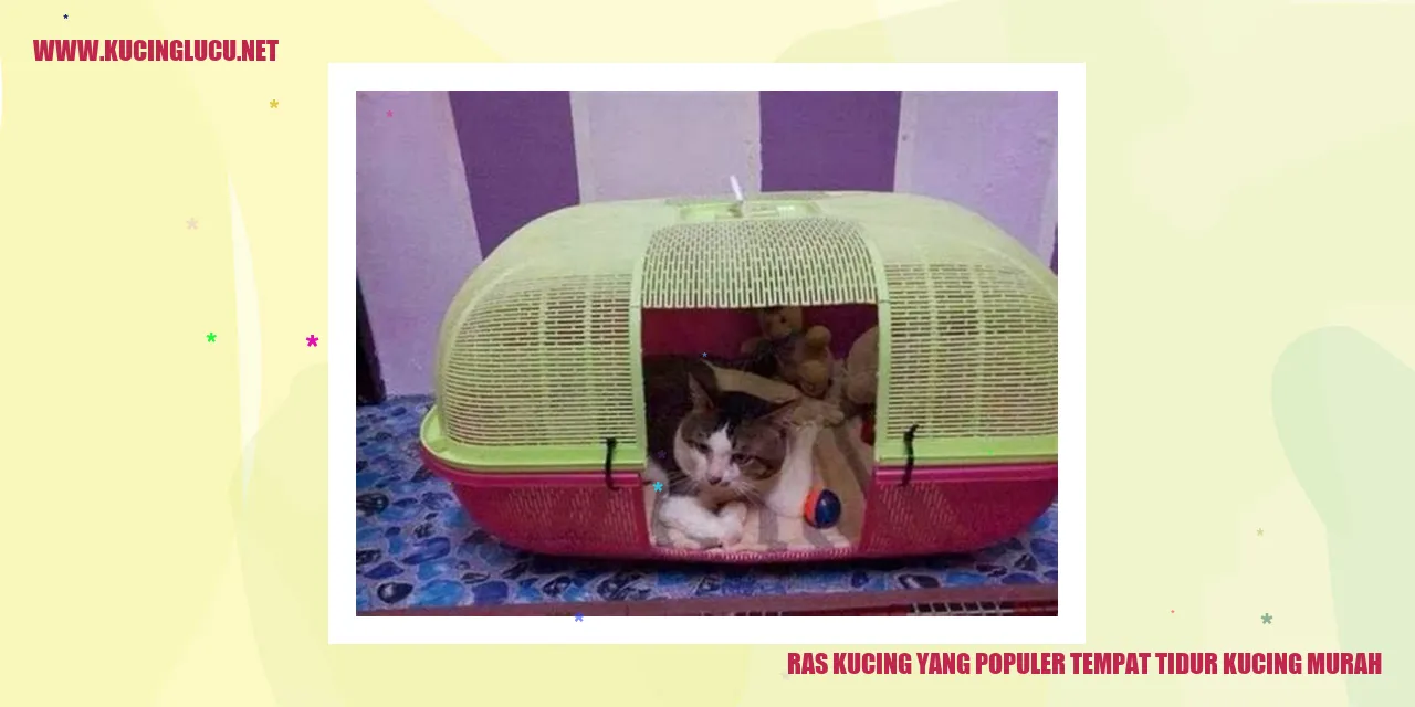 Kucing tidur di tempat tidur