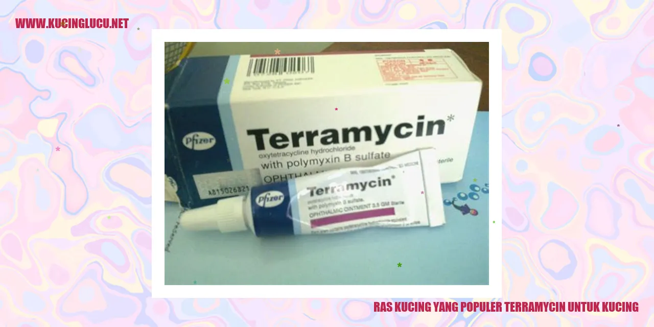 Ras Kucing yang Populer terramycin untuk kucing