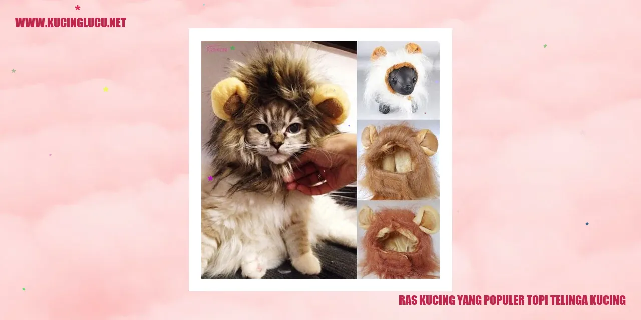 Gambar kucing dengan topi telinga yang menggemaskan