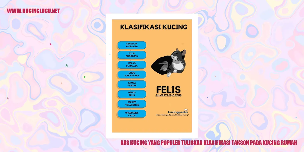 Ras Kucing yang Populer