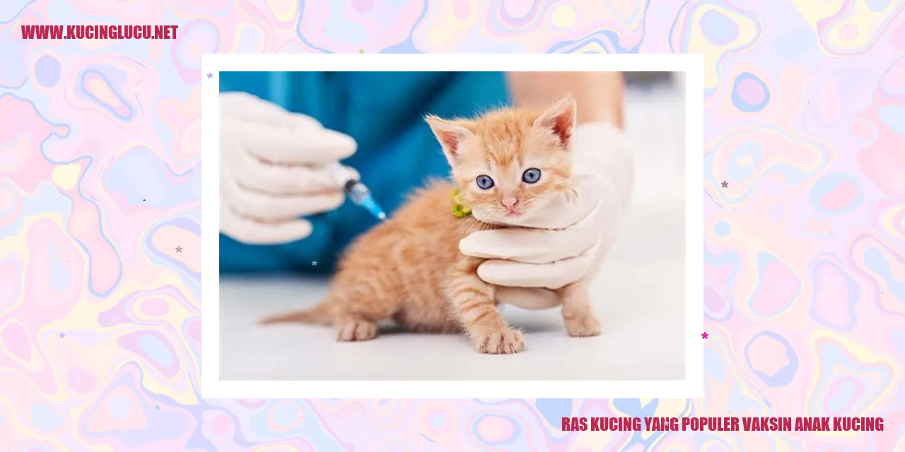 Gambar Ras Kucing yang Populer