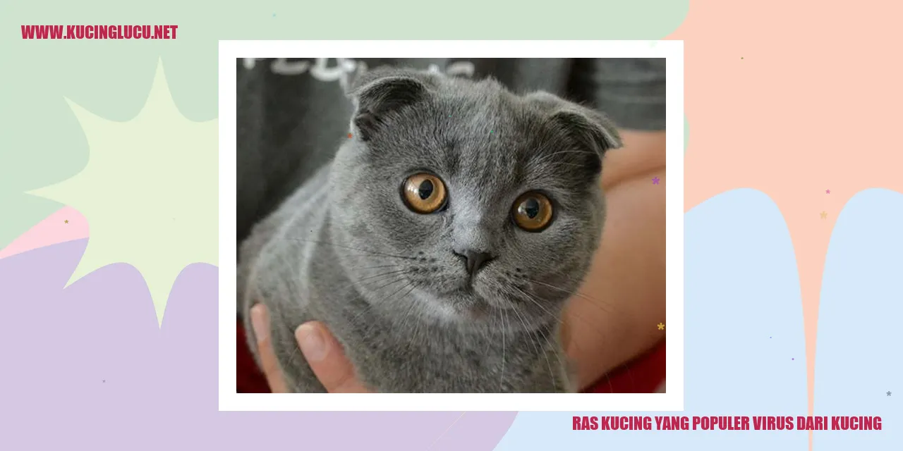 Gambar Ras Kucing Terkenal Virus dari Kucing