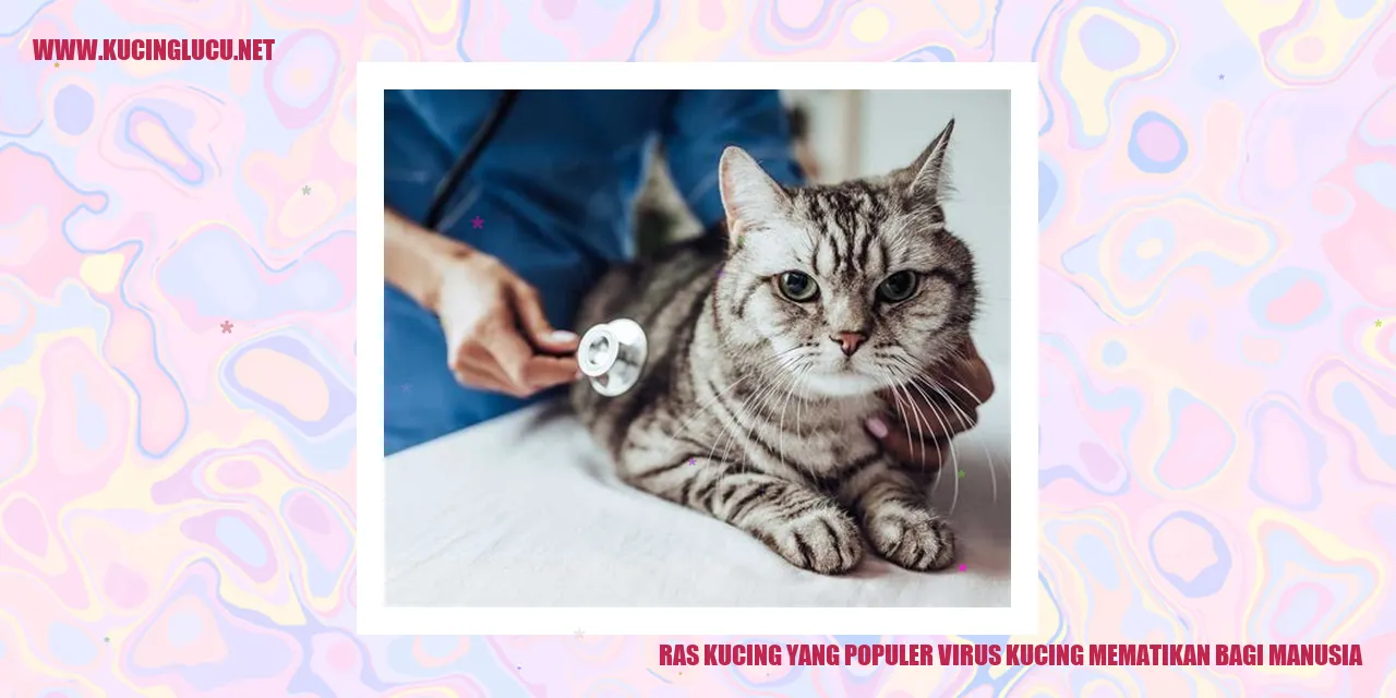 Foto Ras Kucing yang Terkenal Menyebarkan Virus Berbahaya bagi Manusia