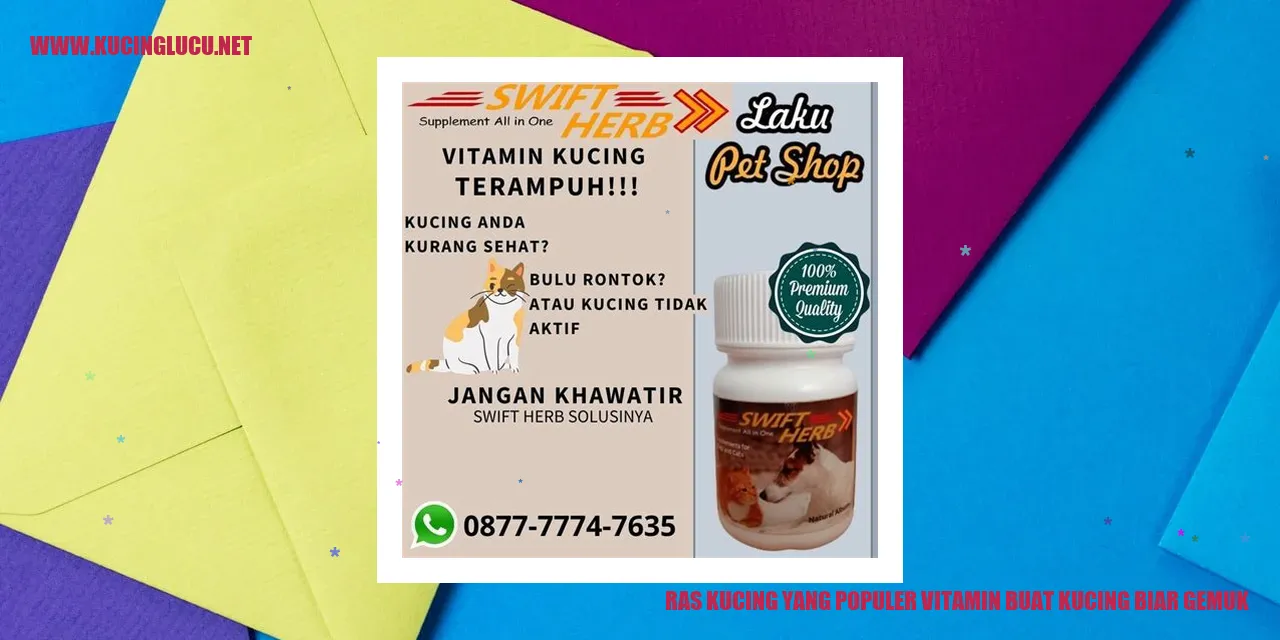 Ras Kucing Populer dengan Suplemen Menambah Berat Badan