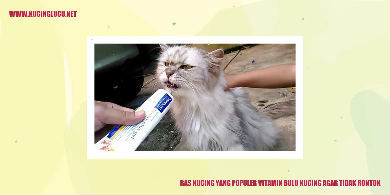 Ras Kucing yang Populer vitamin bulu kucing agar tidak rontok