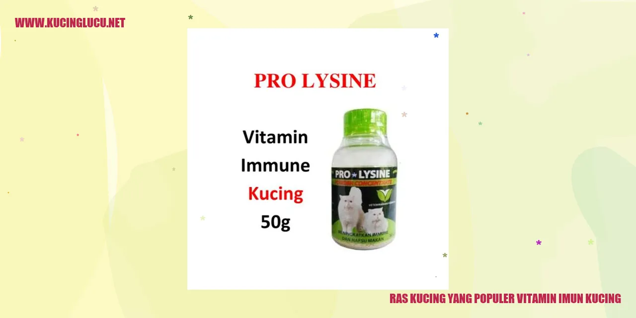 Ras Kucing yang Populer Vitamin Imun Kucing