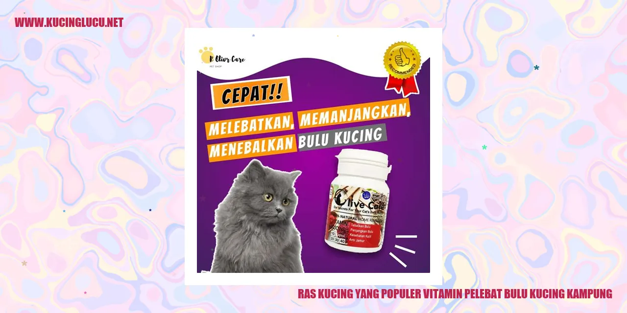 Ras Kucing yang Terkenal Vitamin Penumbuh Bulu Kucing Tipe Lokal Kampung