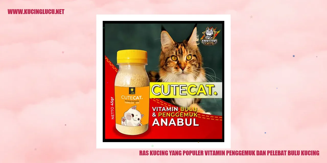 Ras Kucing yang Populer vitamin penggemuk dan pelebat bulu kucing