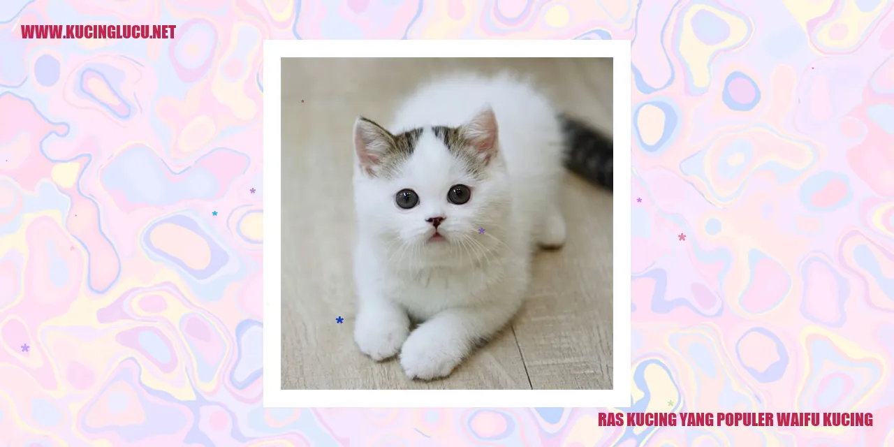 Gambar Ras Kucing yang Populer