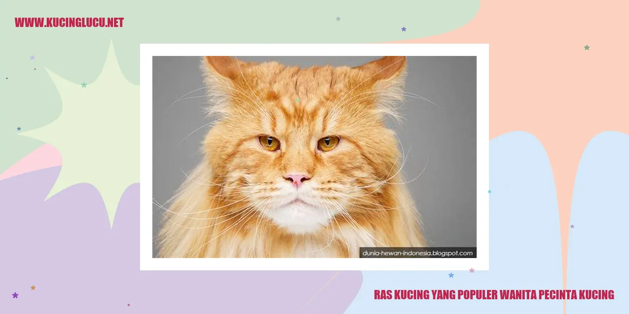 Ras Kucing yang Populer wanita pecinta kucing