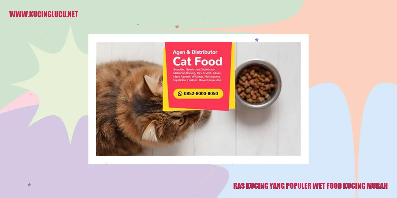 Ras Kucing yang Populer wet food kucing murah