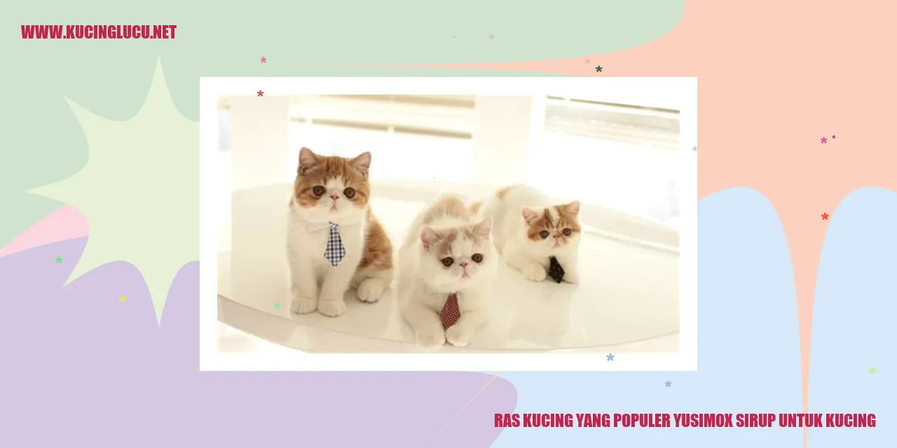 Ras Kucing yang Populer yusimox sirup untuk kucing