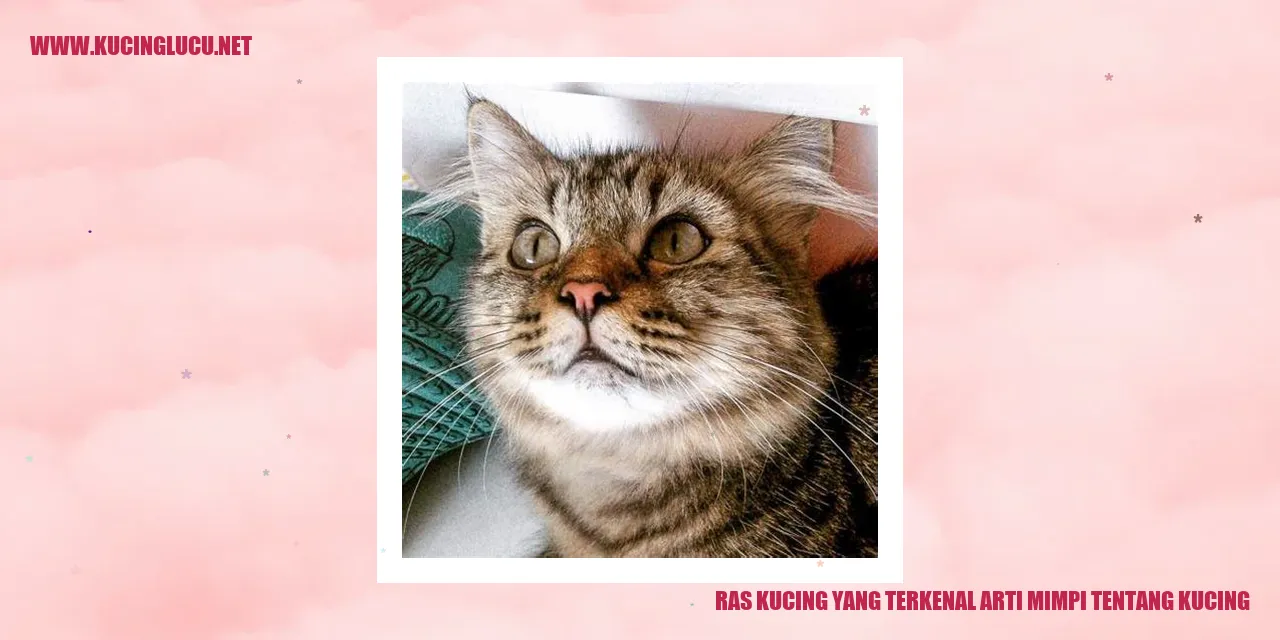 Foto Kucing Menggemaskan