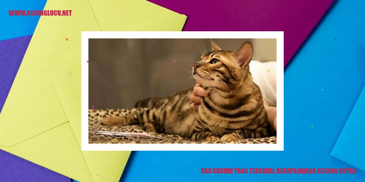 Ilustrasi Kucing Hutan