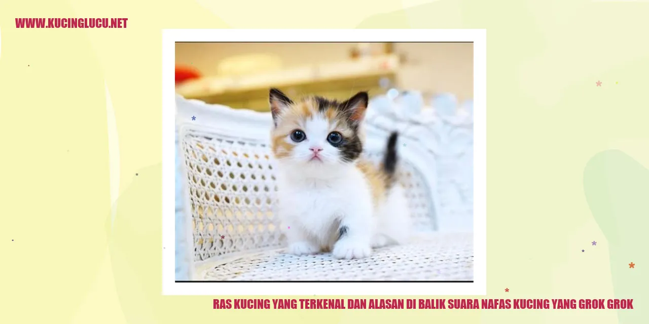 Kucing yang Terkenal