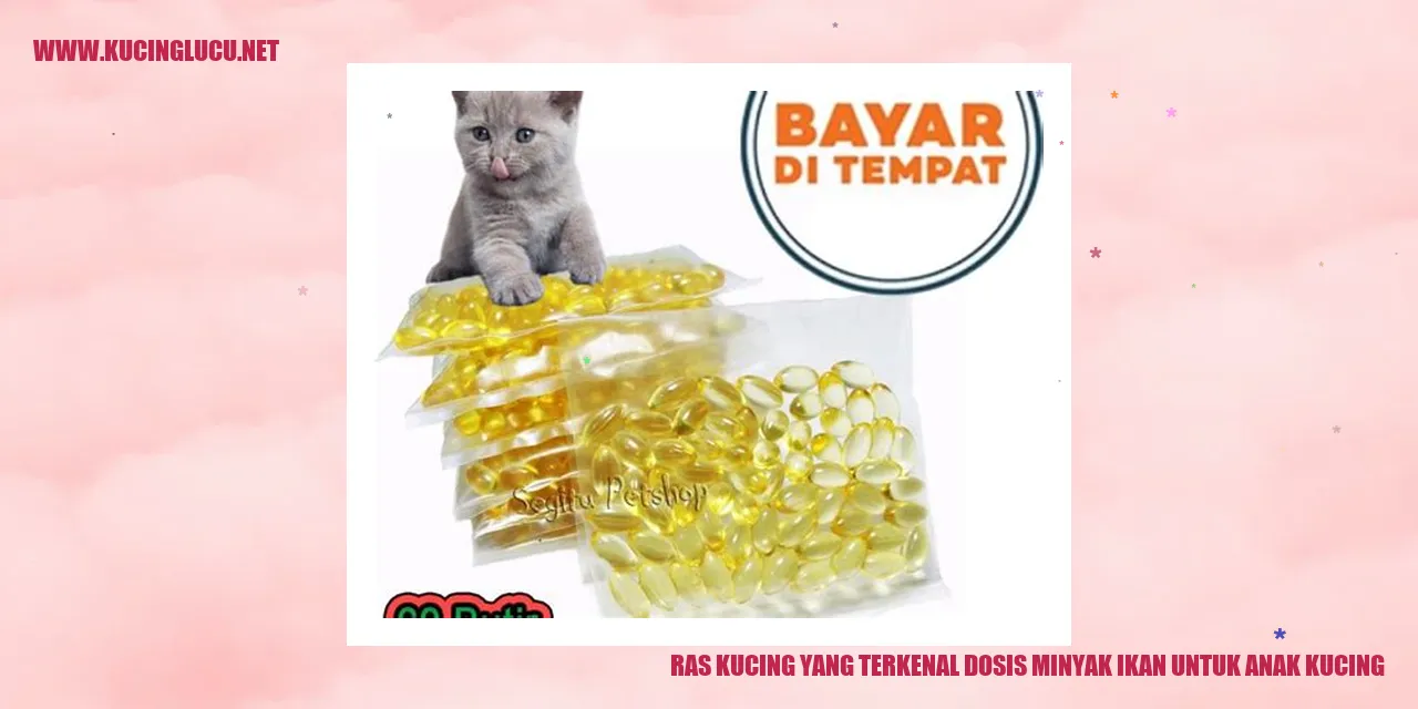 Ras Kucing yang Terkenal dan Dosis Minyak Ikan untuk Anak Kucing