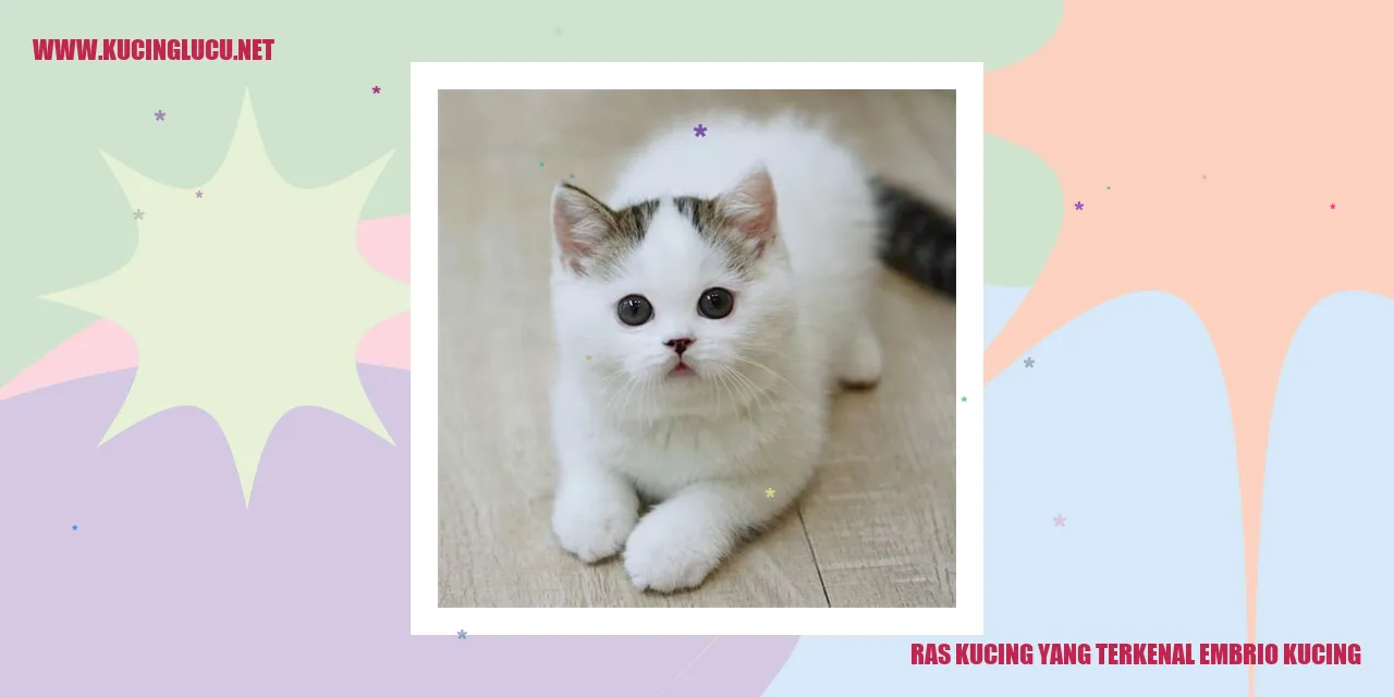 Gambar Ras Kucing yang Populer