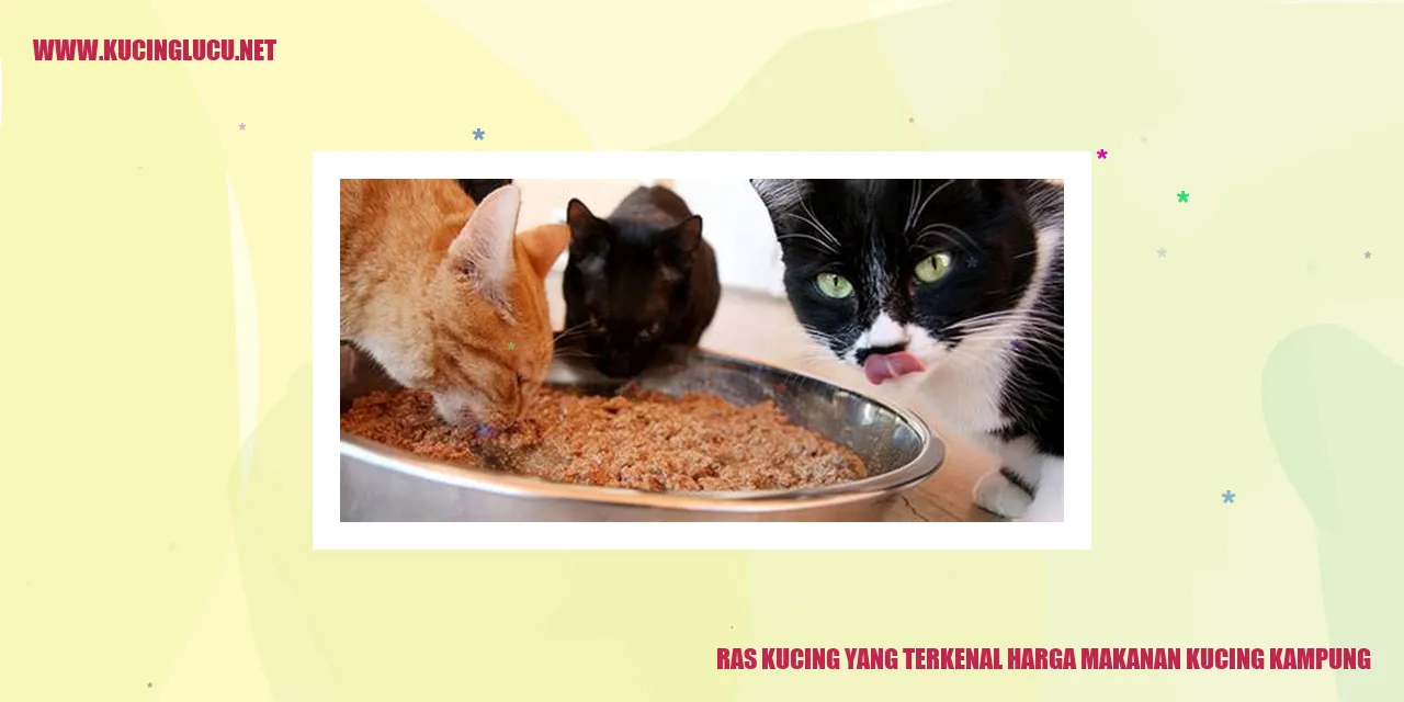 Kucing Ras yang Terkenal dan Harga Makanan untuk Kucing Kampung