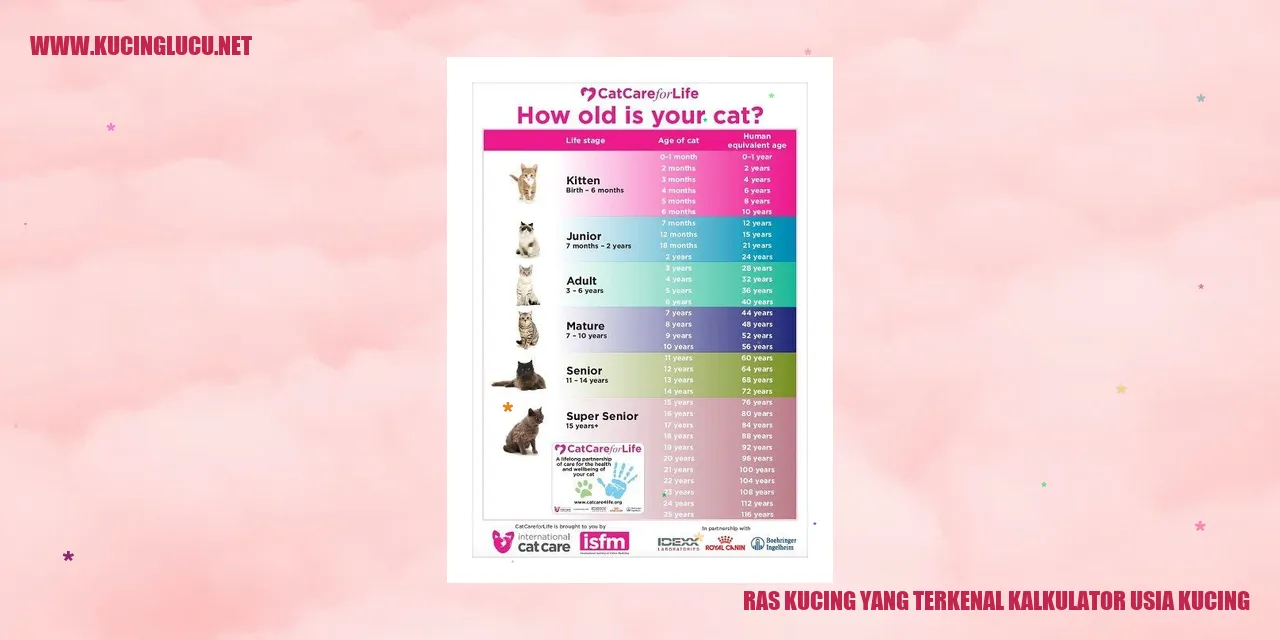 Ras Kucing yang Terkenal