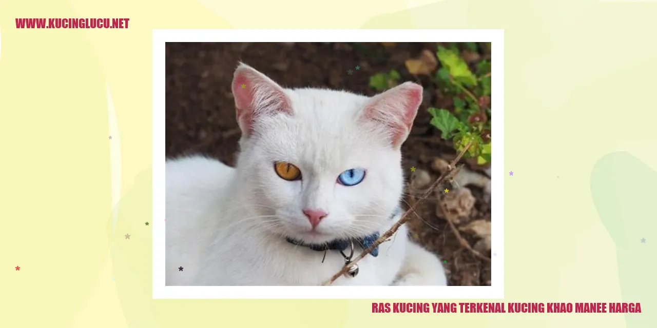 Kucing Khao Manee