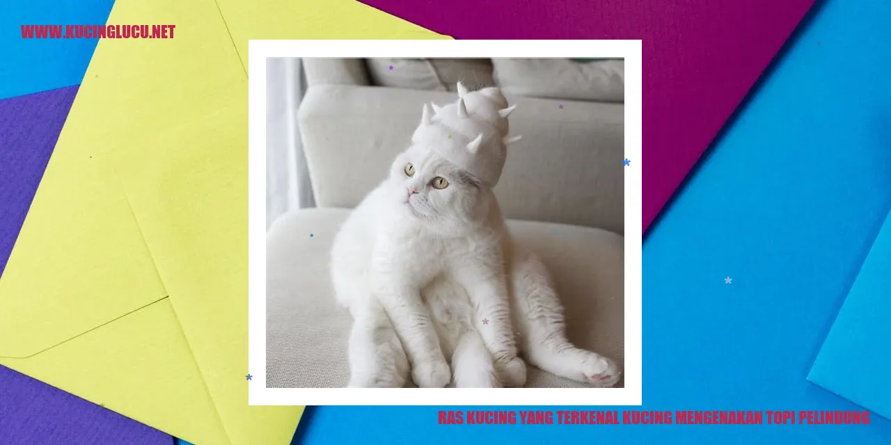 Kucing Menggunakan Topi Pelindung