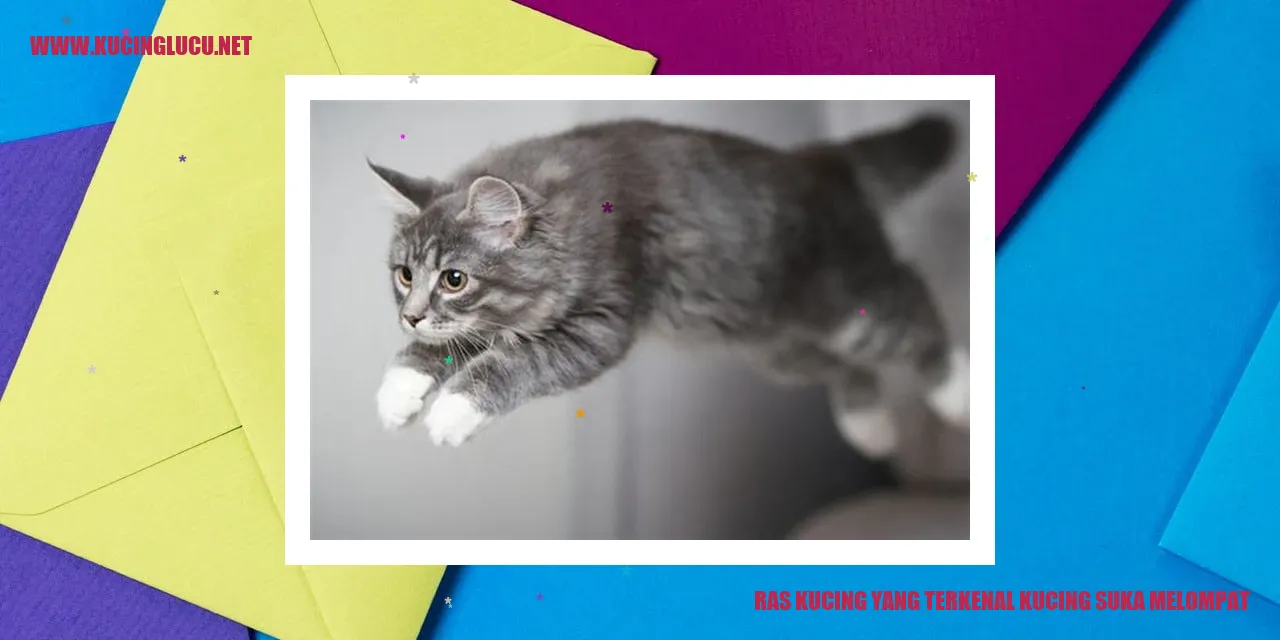 Ras Kucing yang Terkenal: Kucing yang Suka Melompat