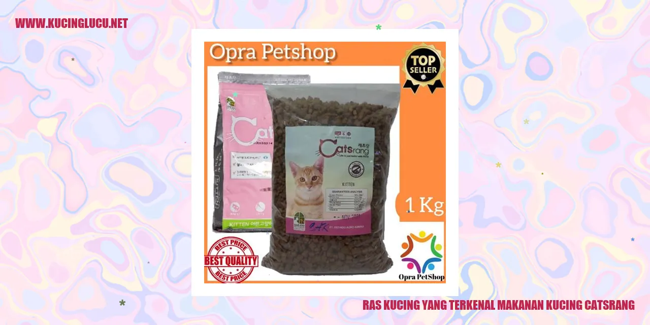 Ras Kucing yang Terkenal makanan kucing catsrang
