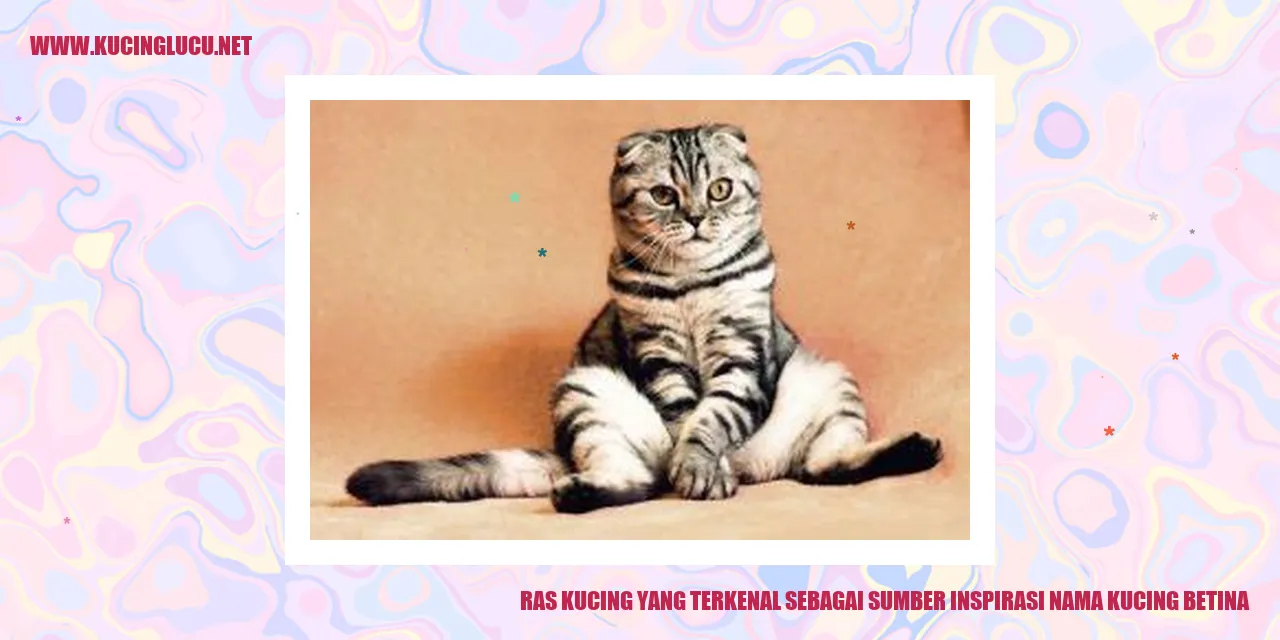 Ras Kucing yang Terkenal sebagai Sumber Inspirasi Nama Kucing Betina