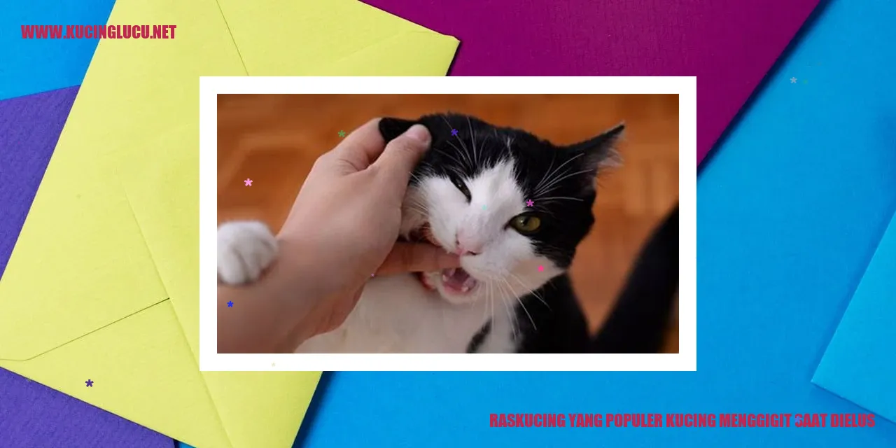 Ras Kucing yang Populer kucing menggigit saat dielus