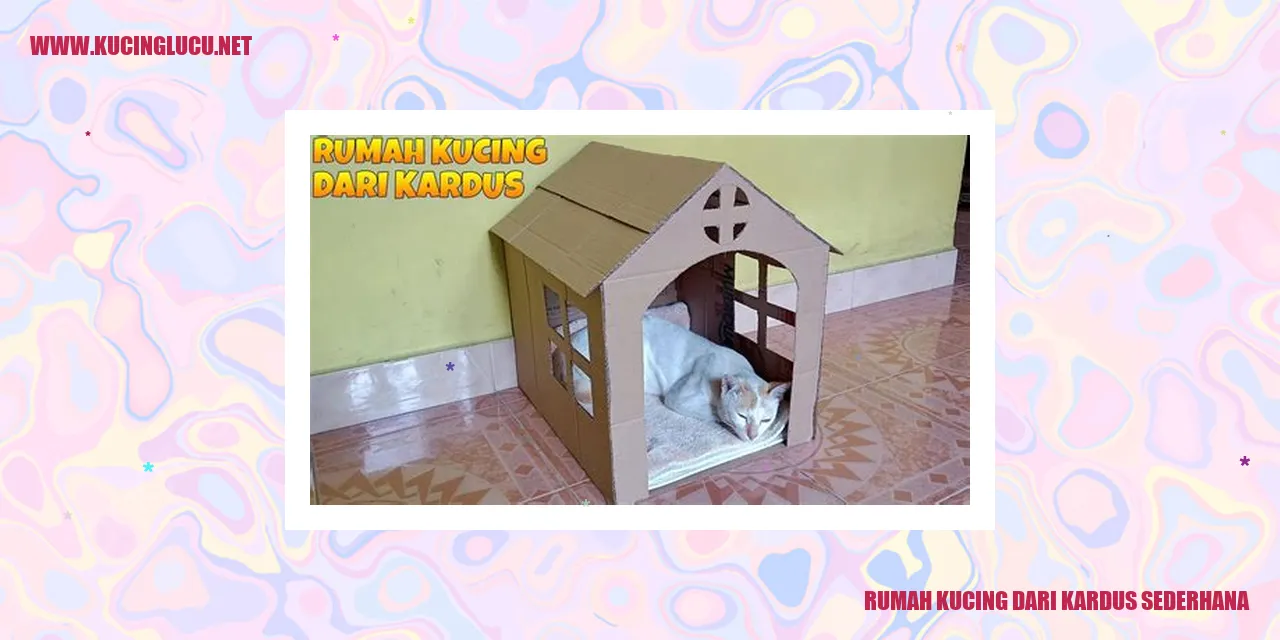Gambar pertanyaan kucing