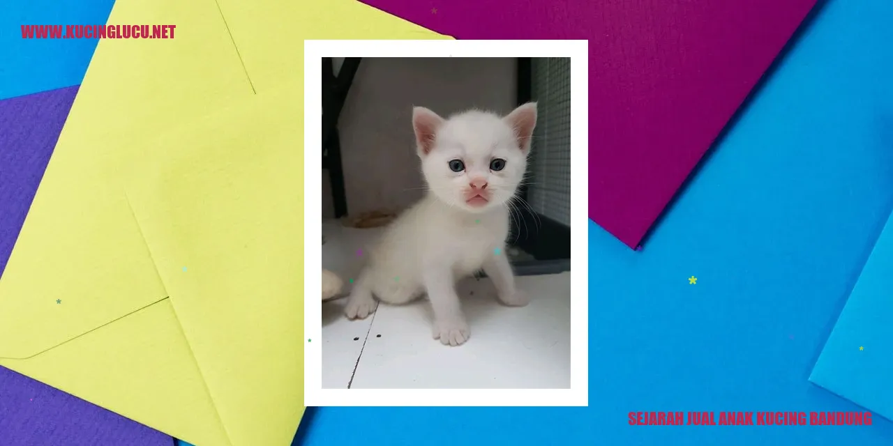 Sejarah Kucing Jual Anak Kucing Bandung