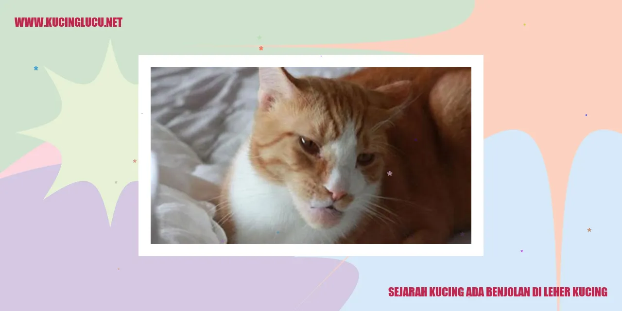 Gambar Kucing dengan Benjolan di Leher