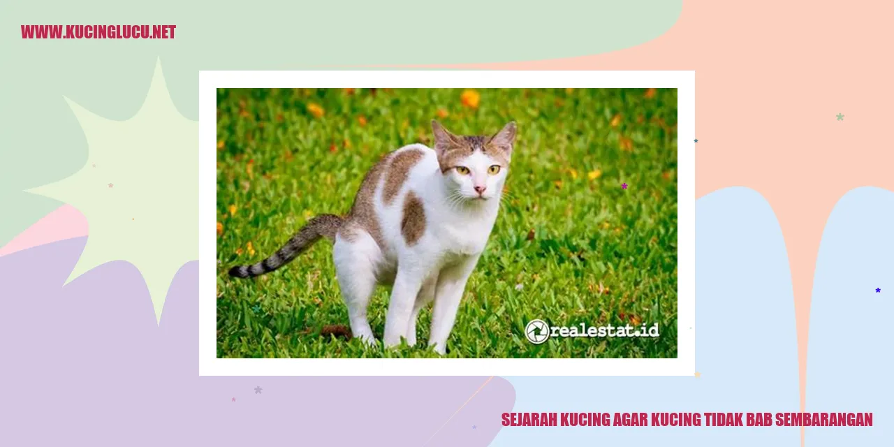 Kucing