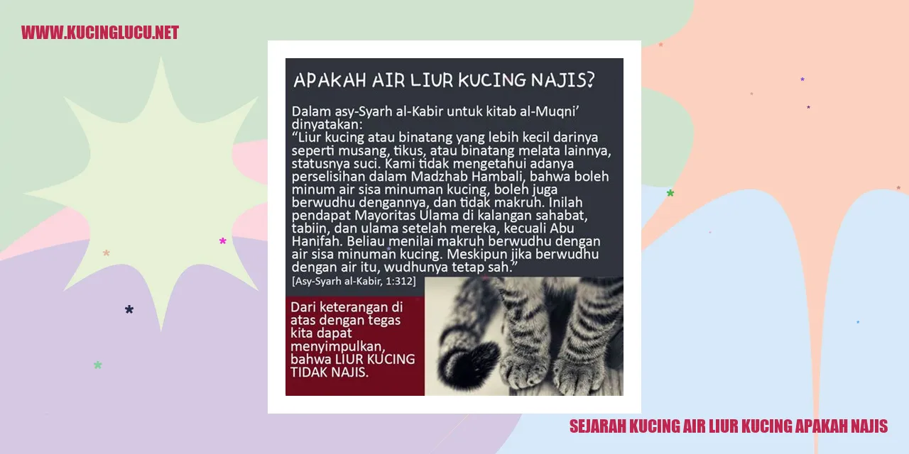 Gambar Kucing