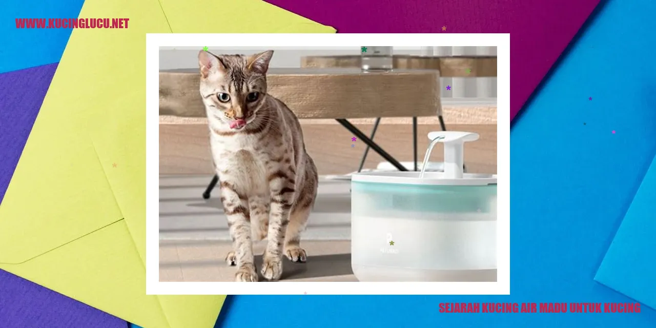 Kucing air madu untuk kucing