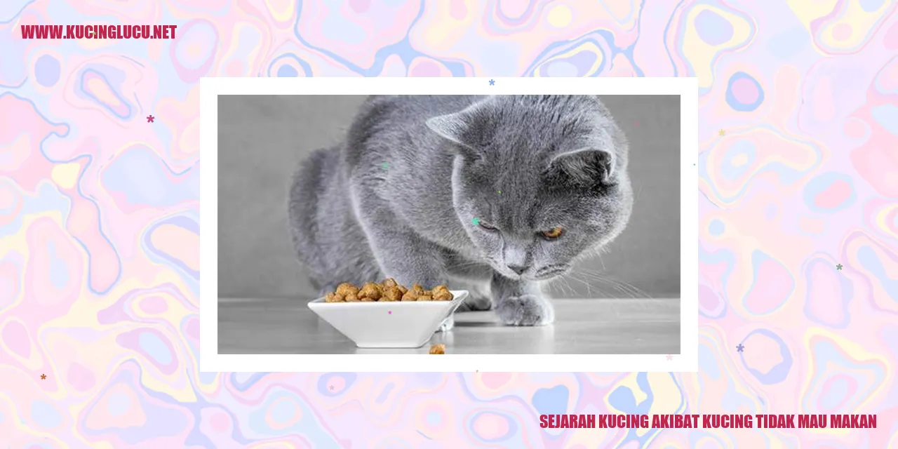 Sejarah Kucing akibat kucing tidak mau makan