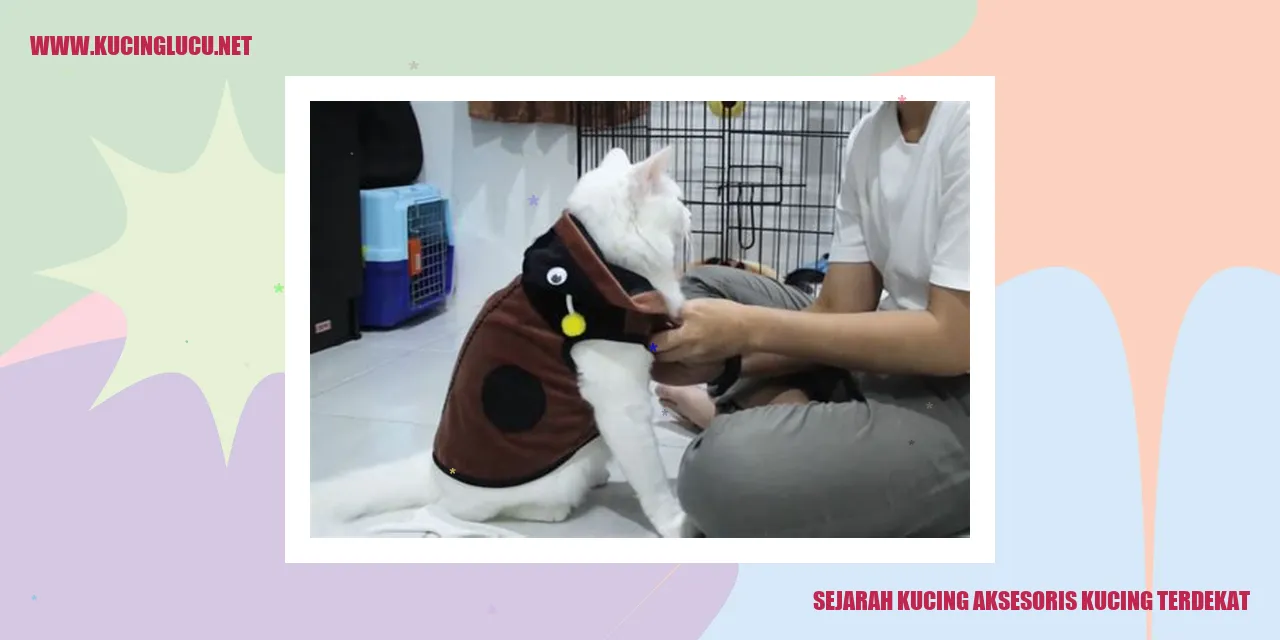 gambar kucing dan aksesoris