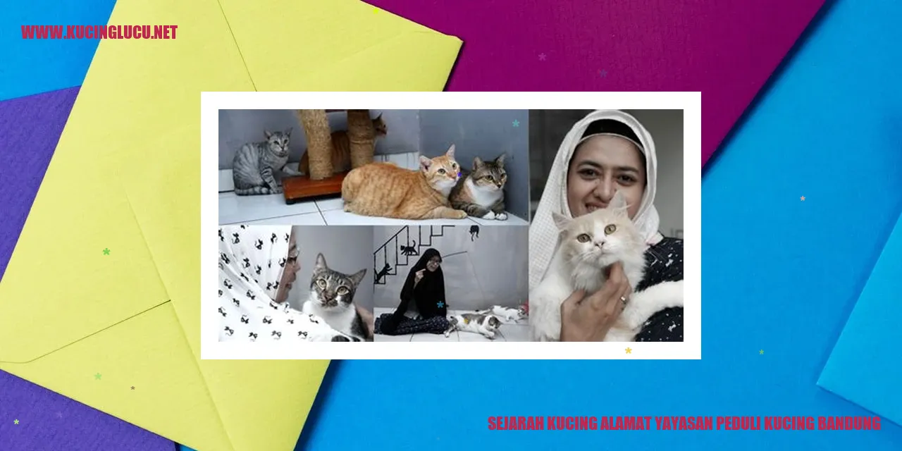 Sejarah Kucing alamat yayasan peduli kucing bandung